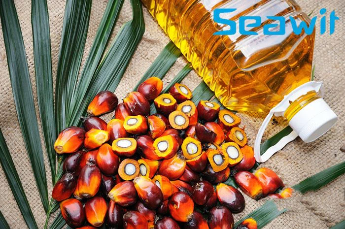 Medium-chain Triglycerides Oil