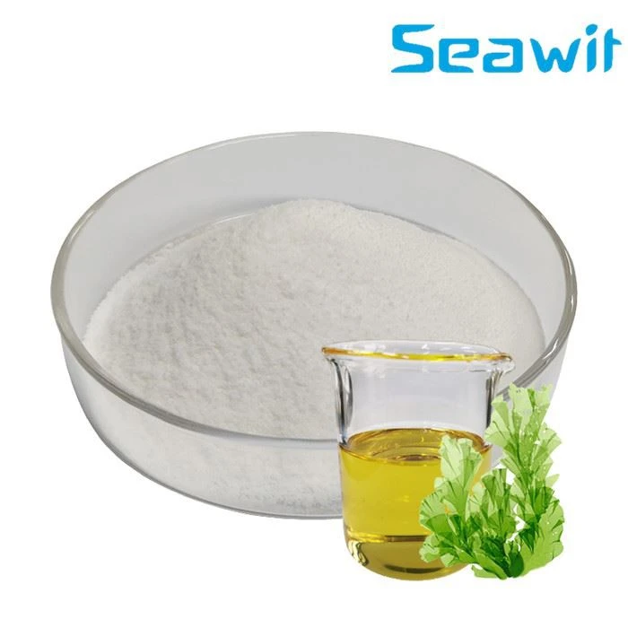DHA Algae Oil Powder
